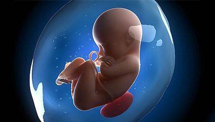 试管代怀公司